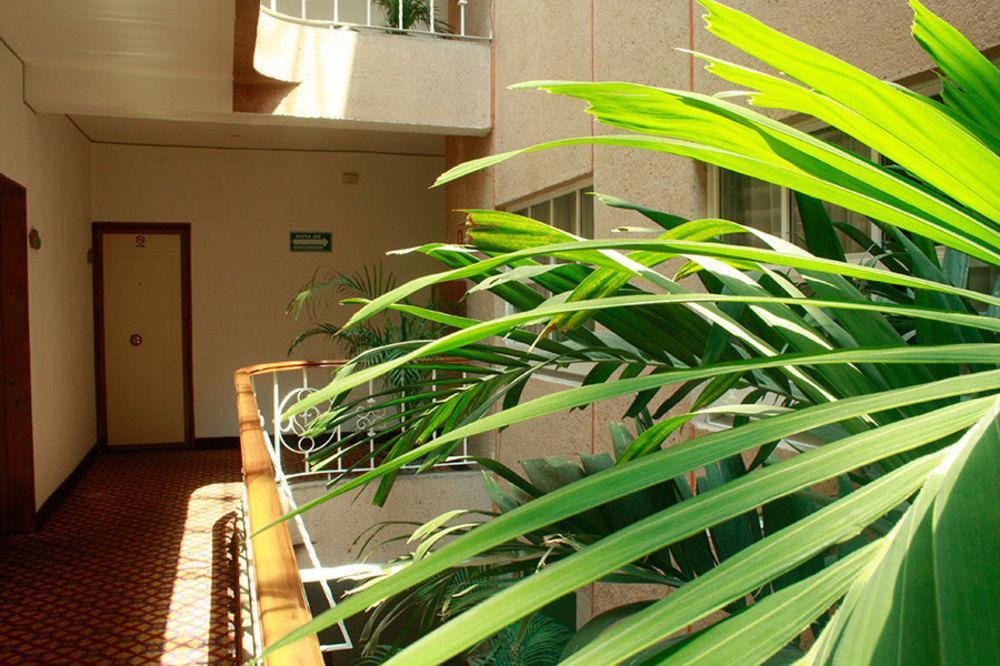 Hotel Mina Мехіко Екстер'єр фото